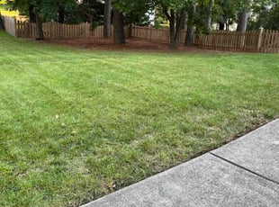 Frank Z.'s Lawn Maintenance service result