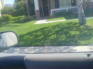 Rolla P.'s Lawn Mowing service result