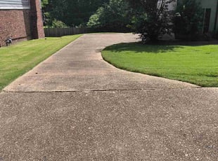 Rebeca M.'s Yard Cutting service result