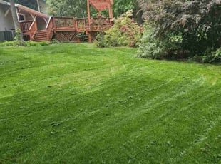 Ricky W.'s Lawn Mowing service result