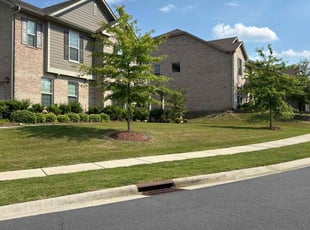 Tony N.'s Lawn Mowing service result