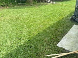 Erica P.'s Lawn Mowing service result