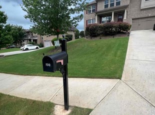 Paula N.'s Lawn Maintenance service result