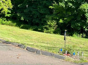 Alexander L.'s Lawn Service service result