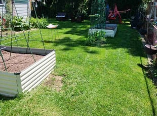 Michael W.'s Yard Cutting service result
