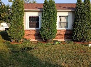 Bush Trimming by Shawn Jackson for Eboni S. in Hazel Crest, IL