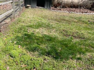 Leaf Removal by Warren Wallace for Jan A. in Glen Allen, VA