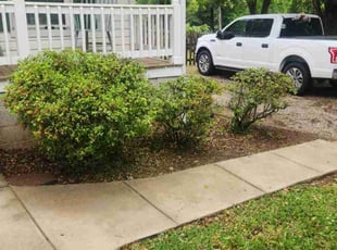 Bush Trimming by Brian Foulks for Tracy R. in Cramerton, NC