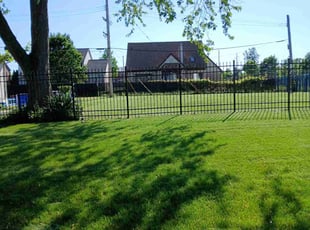 Steve V.'s Grass Cutting service result