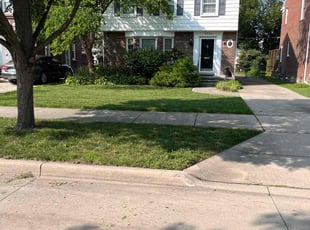 Jessie T.'s Grass Cutting service result