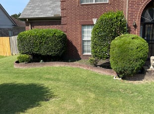 Bush Trimming by Adrian Gainer for Eva B. in Memphis, TN