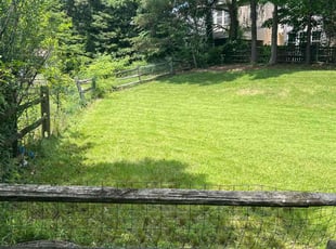 Yvonne C.'s Lawn Mowing service result