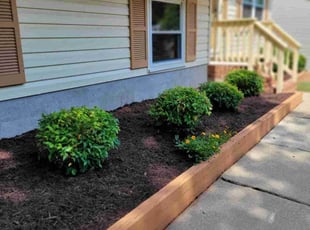 Bush Trimming by Mike Williams for Sally M. in Glen Allen, VA