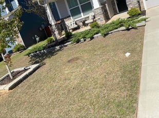 Christopher D.'s Yard Cutting service result