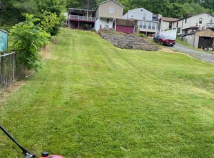 Matt P.'s Lawn Mowing Service service result