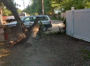 Cleanups by Thomas Crowell for Thomas k. in Richmond, VA