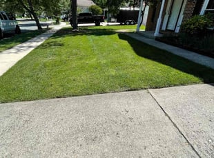 Frances A.'s Lawn Mowing service result