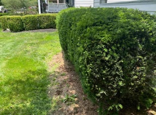 Bush Trimming by Kwesi Broomfield for Melissa R. in Columbus, OH