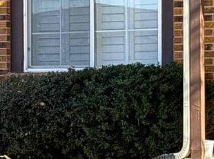 Bush Trimming by Joshua Hines for Dawn G. in Aurora, CO