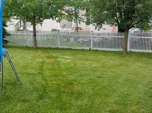 Tamara C.'s Lawn Care service result