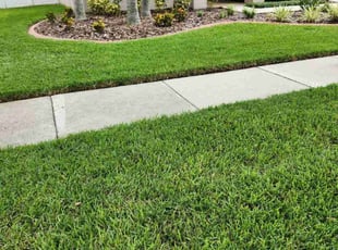 Kay C.'s Lawn Service service result