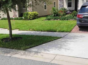 Samantha B.'s Lawn Care service result