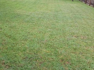 Jeff M.'s Lawn Maintenance service result