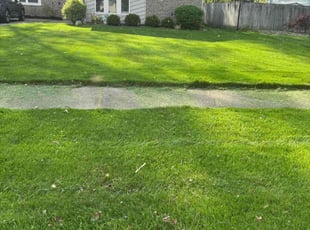 Doug S.'s Lawn Mowing Service service result