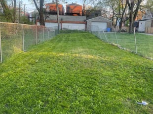 Timothy H.'s Lawn Service service result