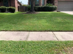 Marie S.'s Lawn Mowing Service service result
