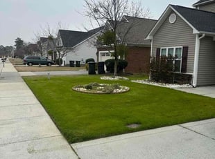 Cece R.'s Lawn Service service result