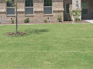 Monette C.'s Lawn Service service result