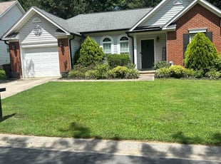 Randy W.'s Grass Cutting service result