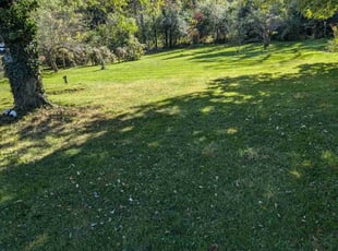 Gwen A.'s Yard Cutting service result
