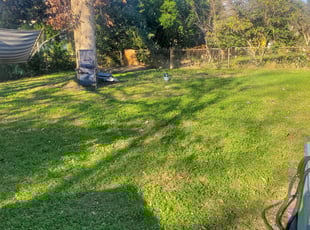 Cleanups by Douglas Rivas for Aaron K. in Takoma Park, MD