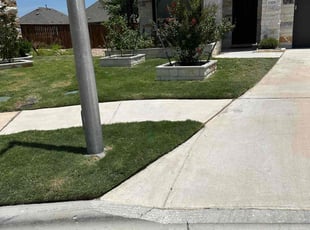 Barbara K.'s Lawn Mowing service result