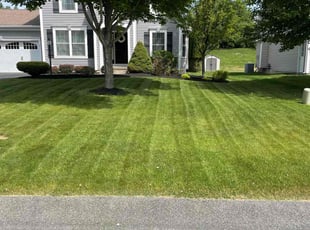 Roxanne T.'s Lawn Care service result