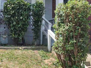 Bush Trimming by Allan Roberts for Elyes H. in Washington, DC