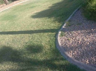 Hannah W.'s Lawn Care service result