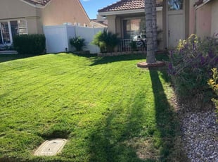 Andrea L.'s Lawn Service service result