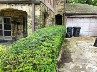 Bush Trimming by Erik Hurley for Greg H. in Washington, PA