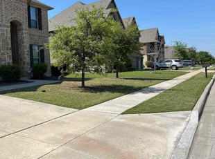 Doris Cathie H.'s Lawn Mowing service result
