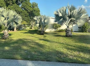 Brian H.'s Yard Cutting service result
