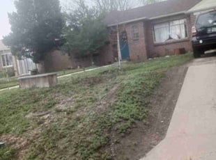Leaf Removal by Tabias Graves for Emily B. in Denver, CO