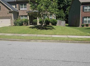 Ashley W.'s Lawn Service service result