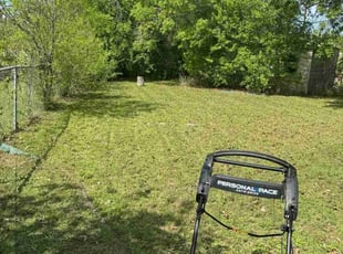 Gwen H.'s Lawn Service service result
