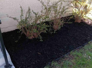 Mulching by James Rogers for Janis M. in Minneapolis, MN