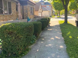 Bush Trimming by Emmanuel Trejo Bautista for B Great Investments L. in Milwaukee, WI