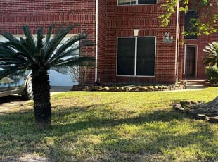 Rabecca R.'s Yard Cutting service result