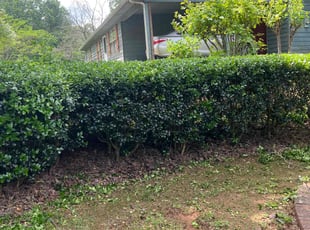 Bush Trimming by Louis Sampson for Johnathan H. in Marietta, GA